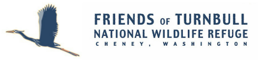 Friends of Turnbull Logo